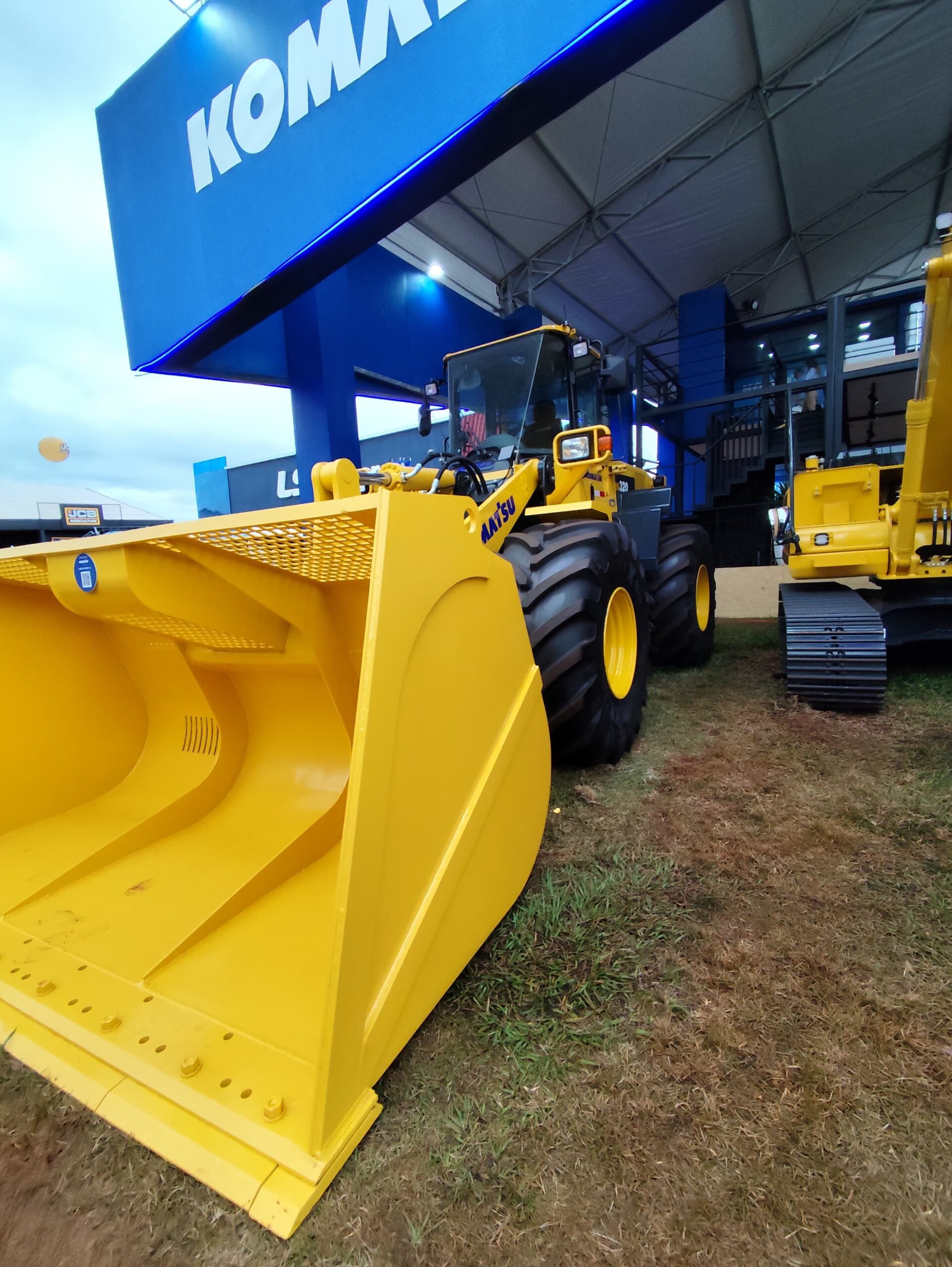 Daniel Francisco Rodrigues