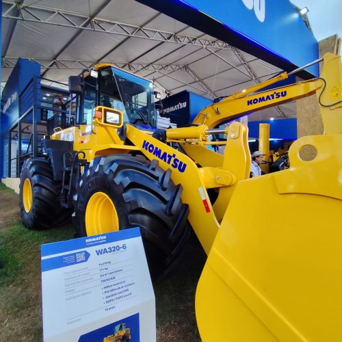 Daniel Francisco Rodrigues